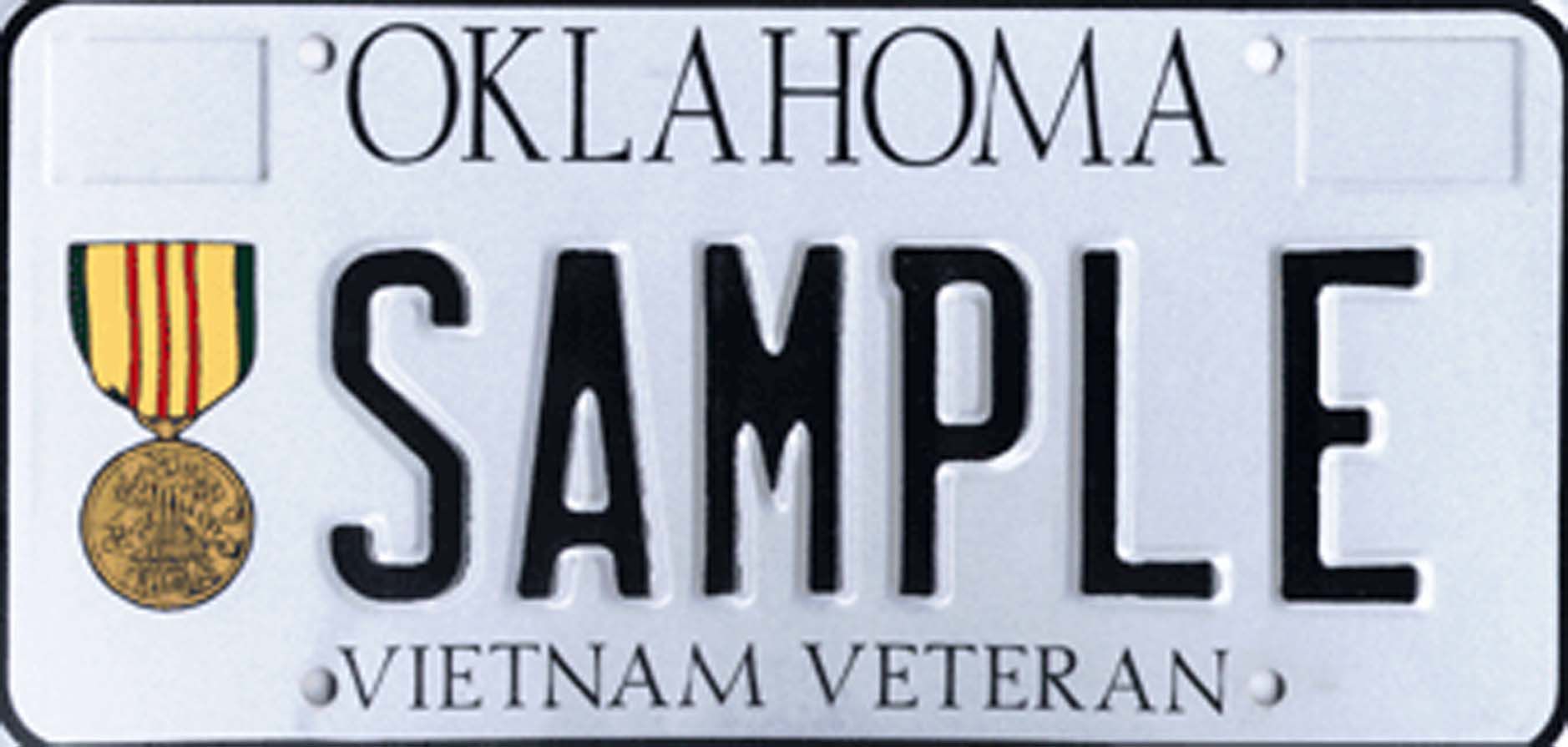 12. Vietnam veteran
